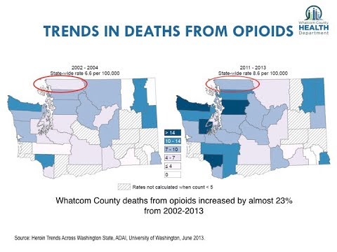 Trends in deaths from Opiods, Washington 2002-2013.