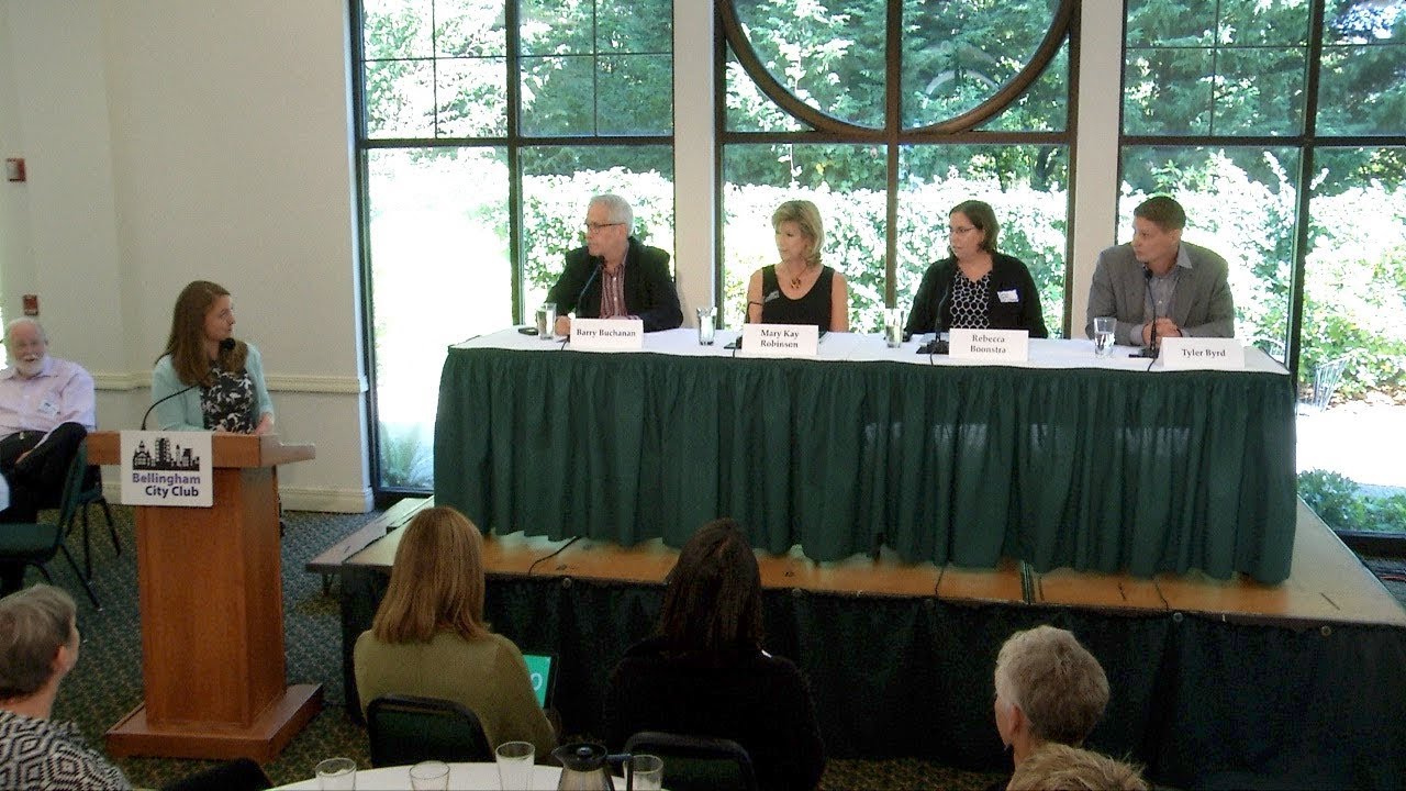 Who Will Represent Us on the County Council?  At Large & District 3