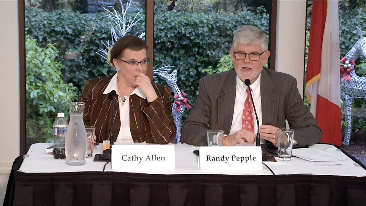 November 28, 2018:  Reflections on the Election by Our Own Political Gurus